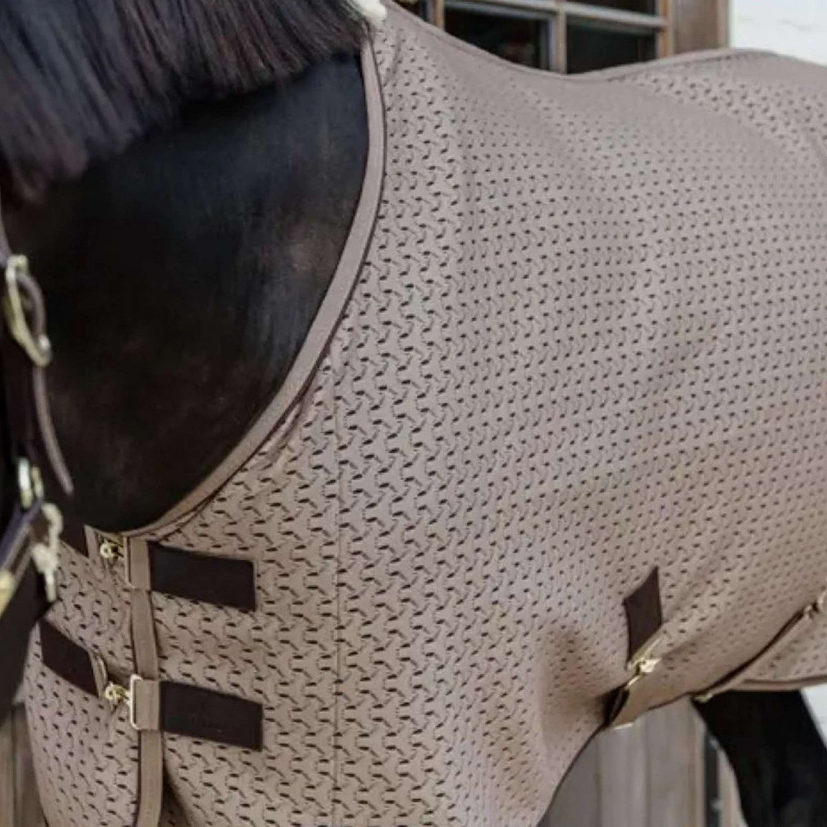 Kentucky Horsewear Coperta antisudore 4D Spacer Beige