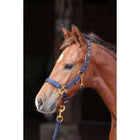 Covalliero Cavezza per puledro TopLine Navy