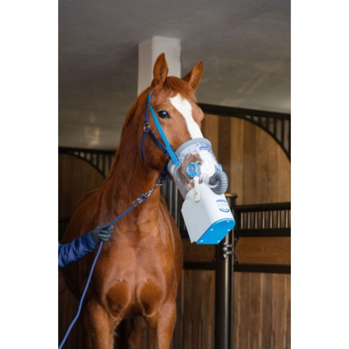 Hippomed Maschera Airone Set