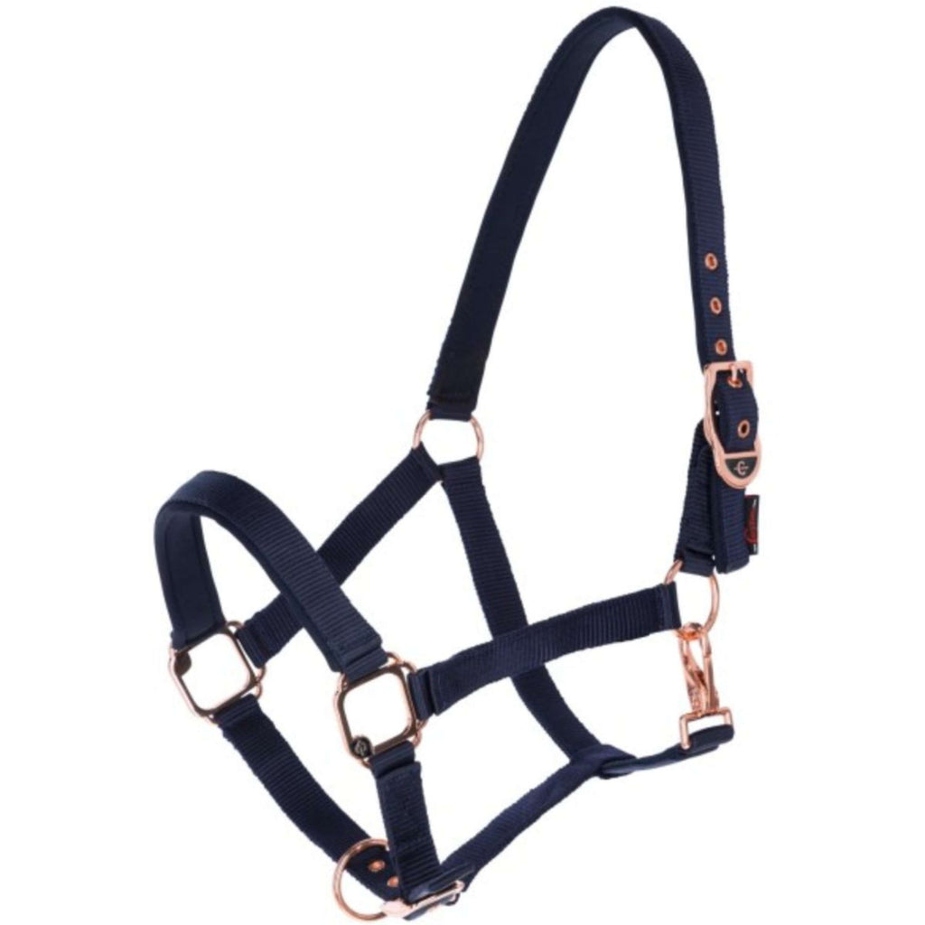 Covalliero Cavezza Classy Navy
