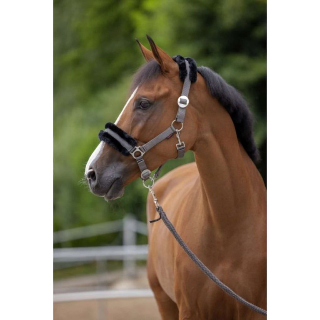 Covalliero Cavezza ClassicSoft Calcolo