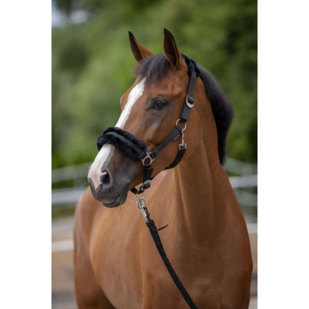 Covalliero Cavezza ClassicSoft Nero