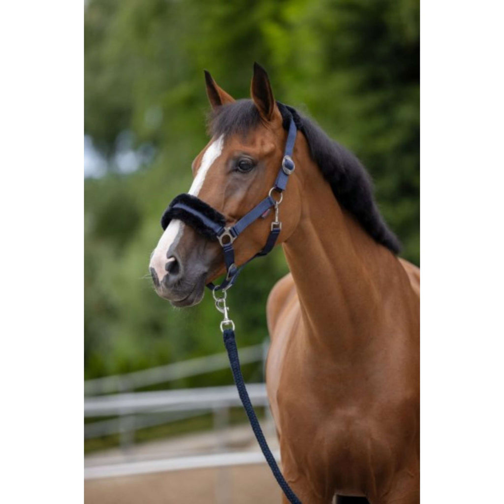 Covalliero Cavezza ClassicSoft Navy