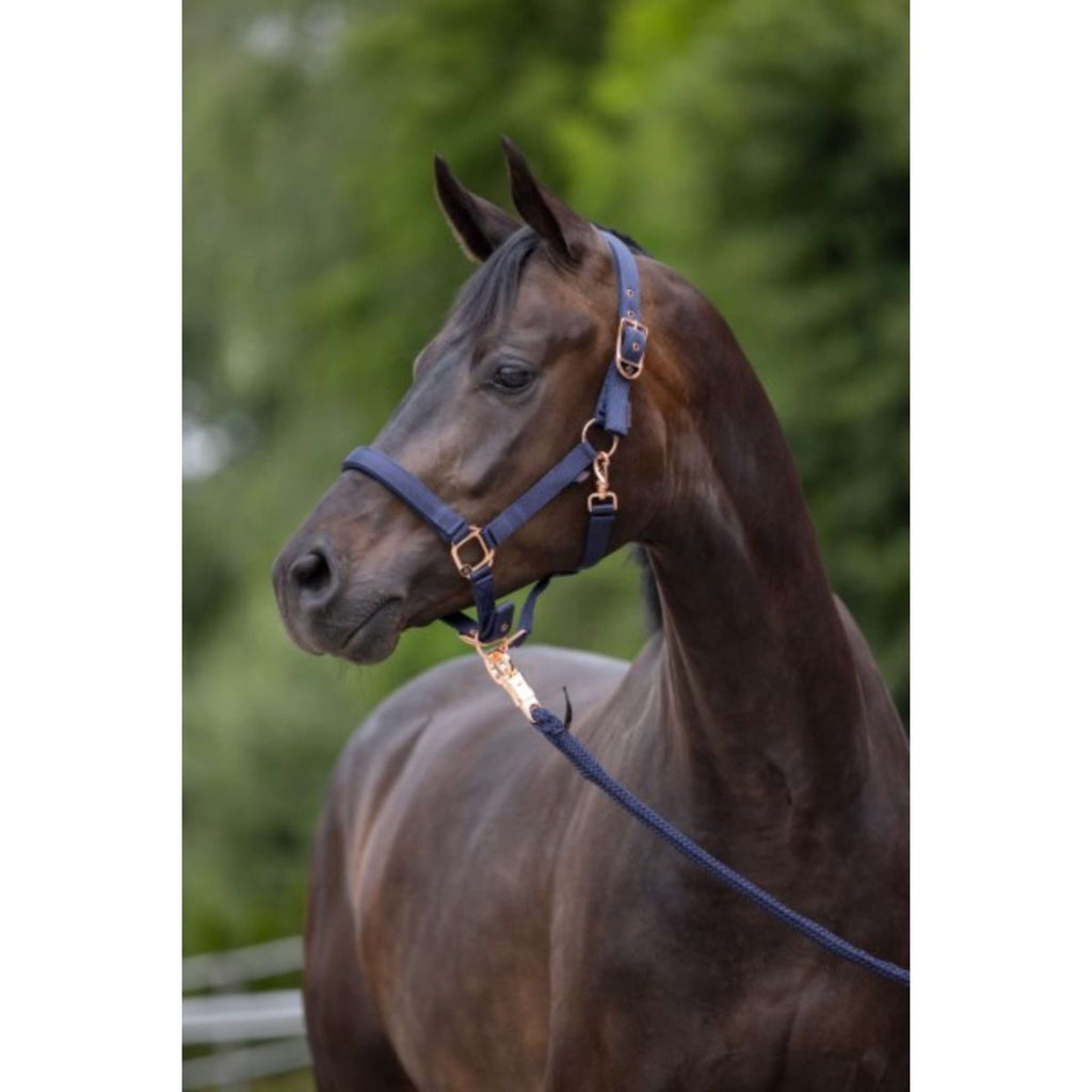Covalliero Cavezza Classy Navy