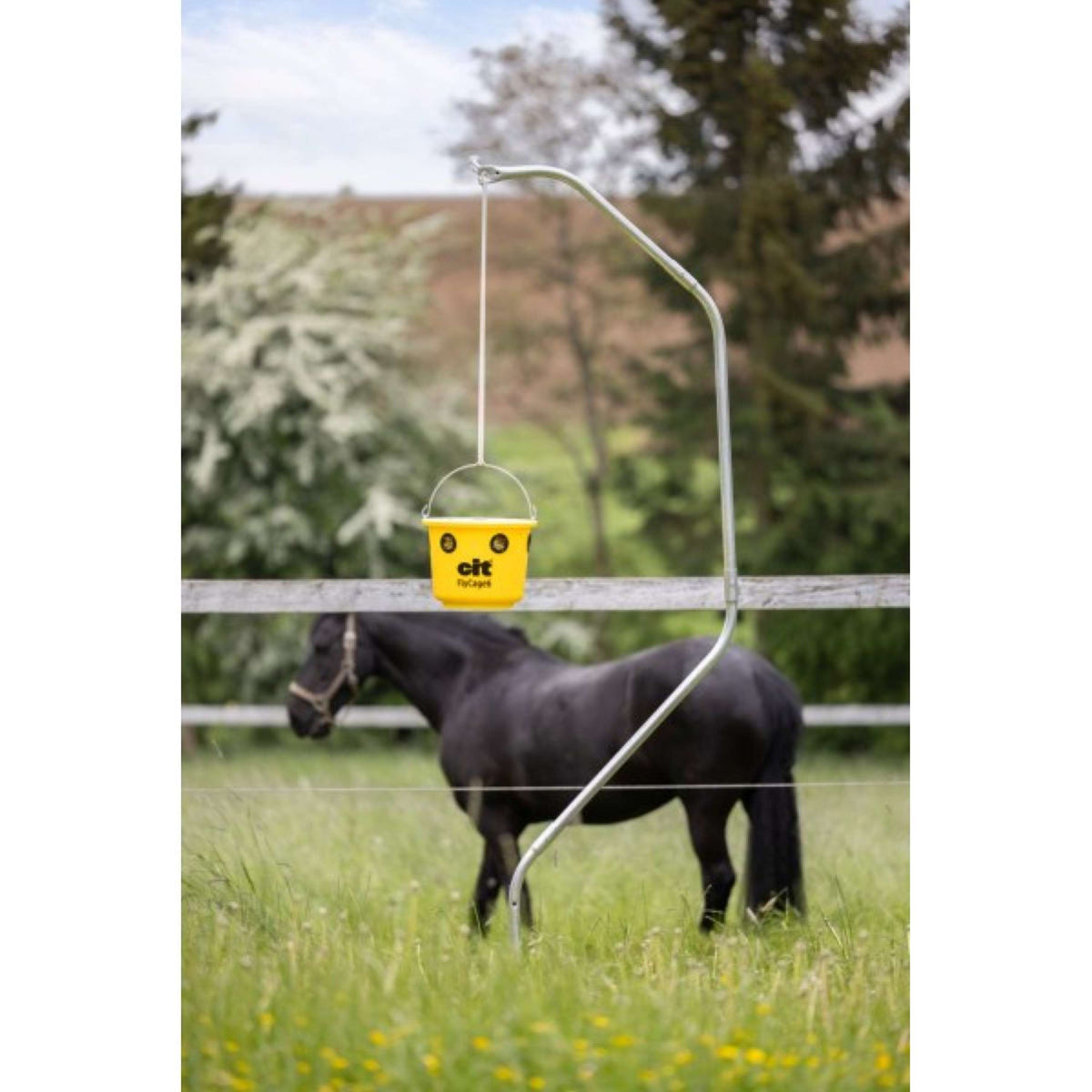 Kerbl Trappola per Mosche Cit FlyCage6 Set Giallo