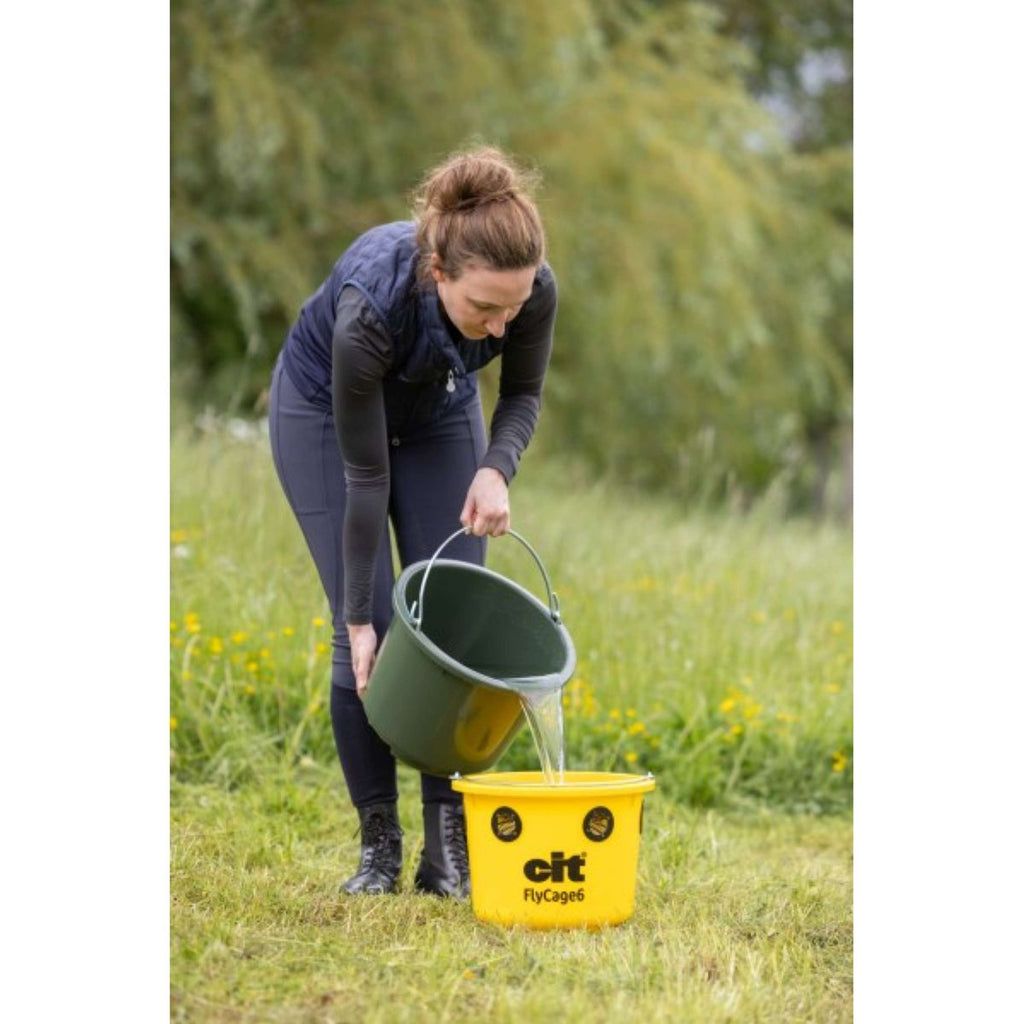 Kerbl Trappola per Mosche Cit FlyCage6 Set Giallo