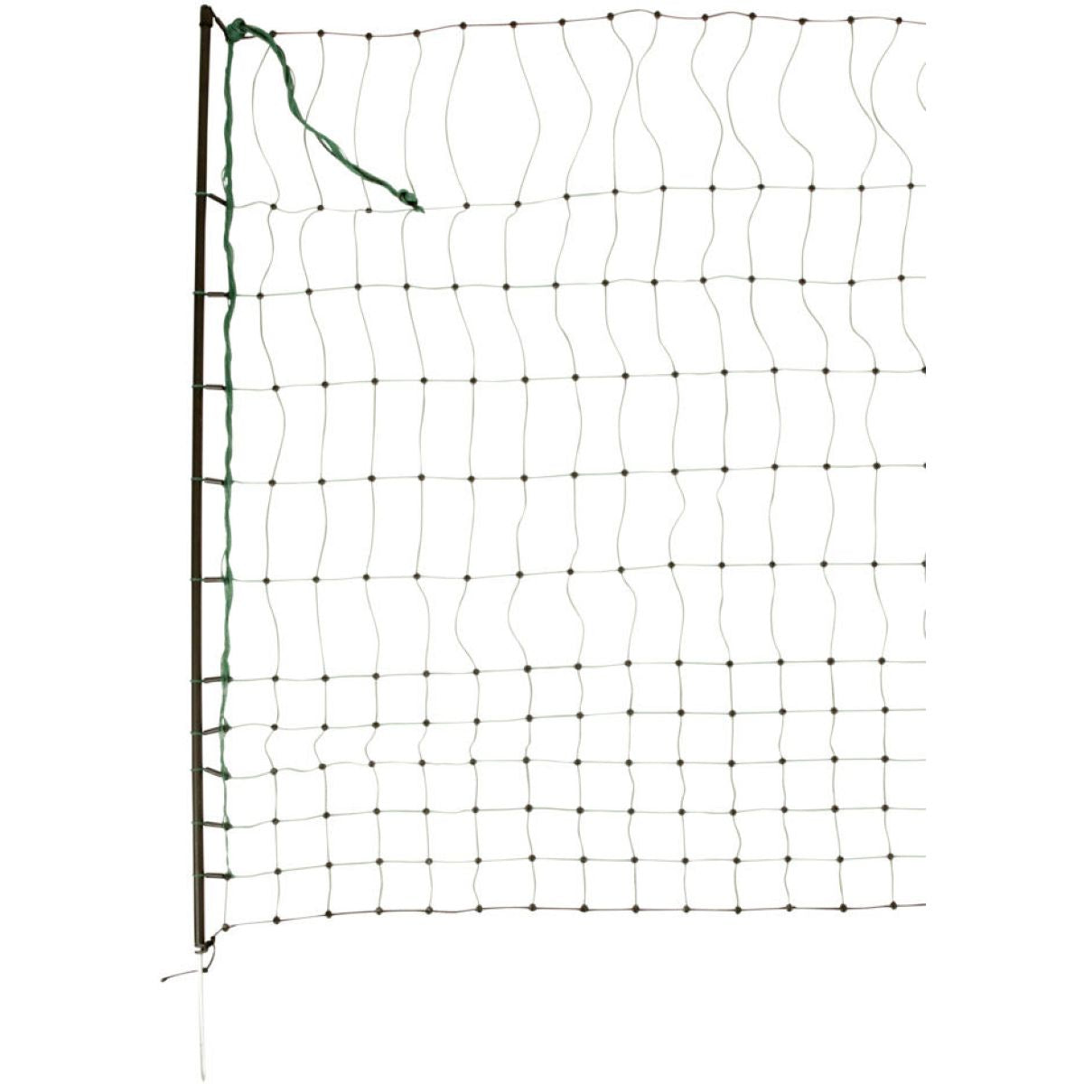 Ako Rete per pollame Verde