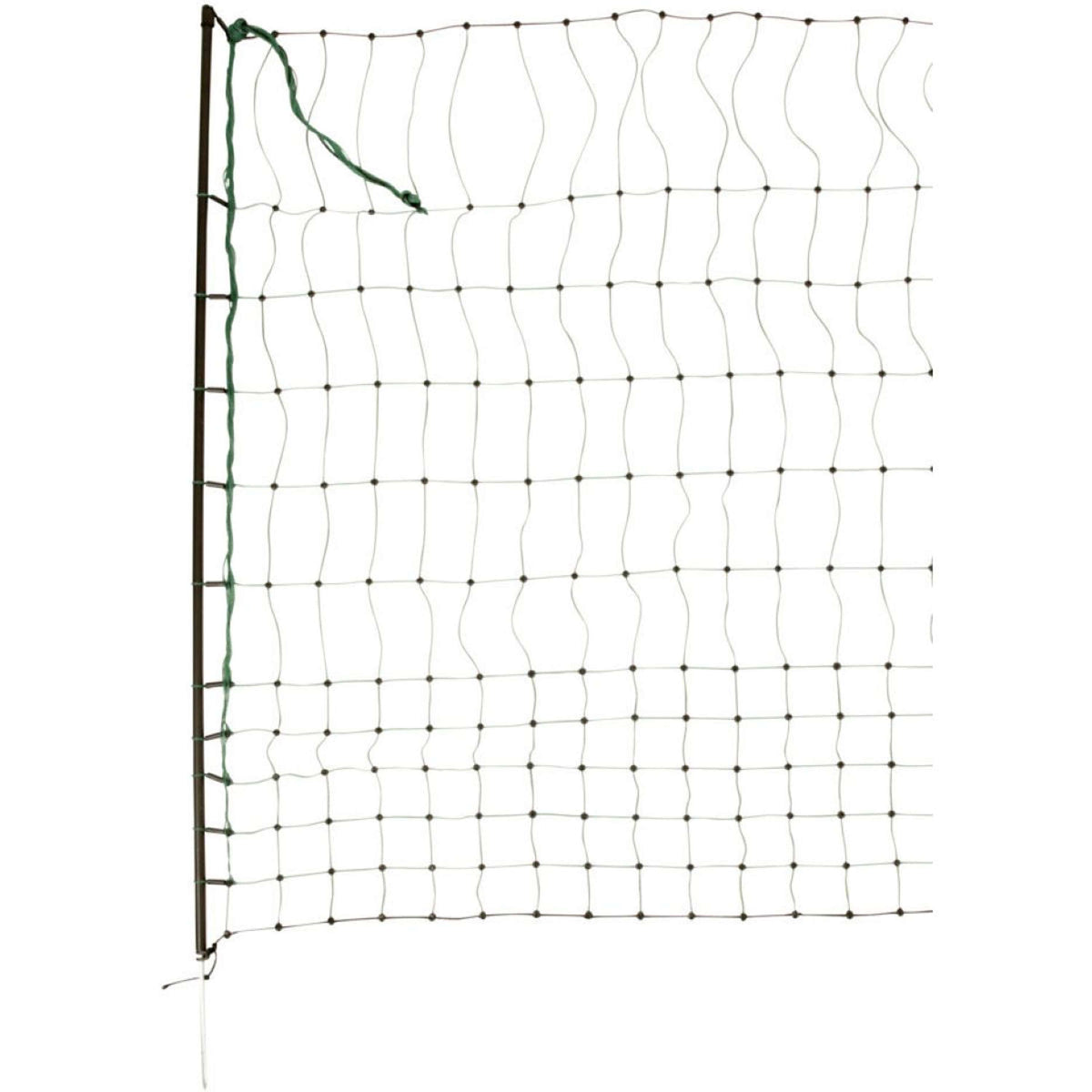 Ako Rete per pollame Verde