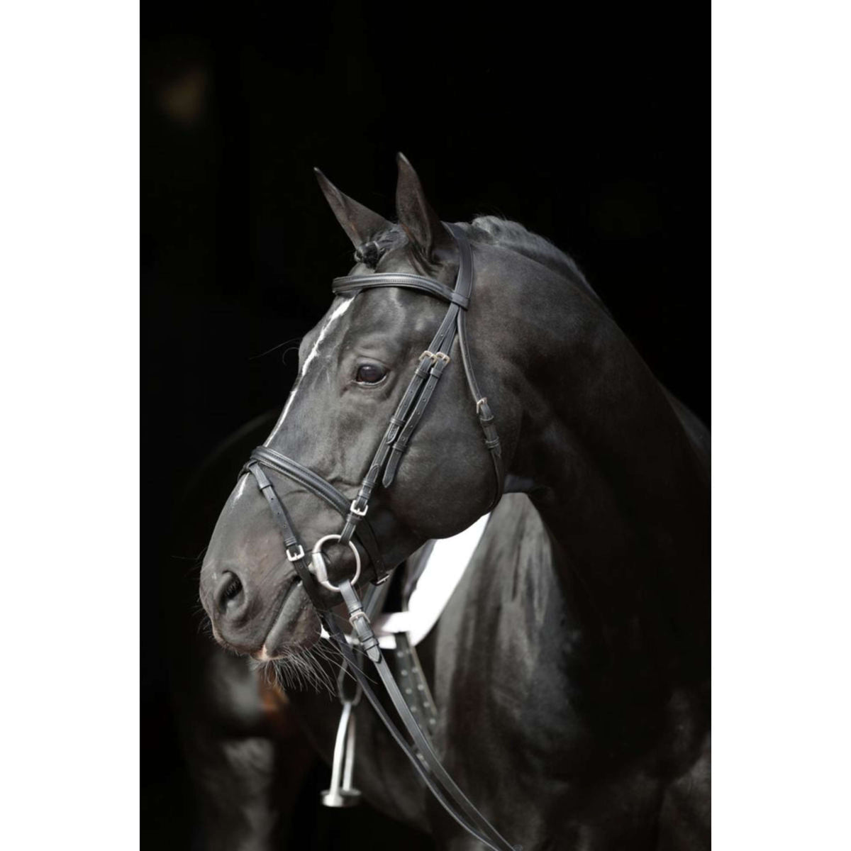 Kerbl Briglia Eurohorse Nero