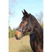 Kerbl Cavezzone Exklusiv Nero