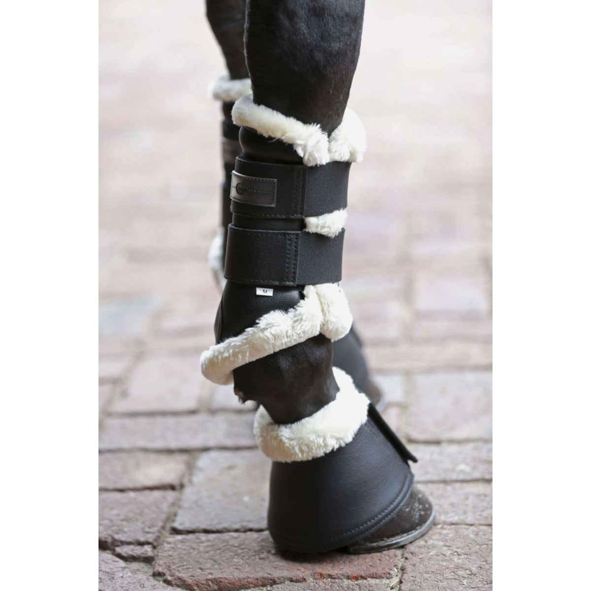 Covalliero Scarpe da ginnastica flessibili Pelisa Nero