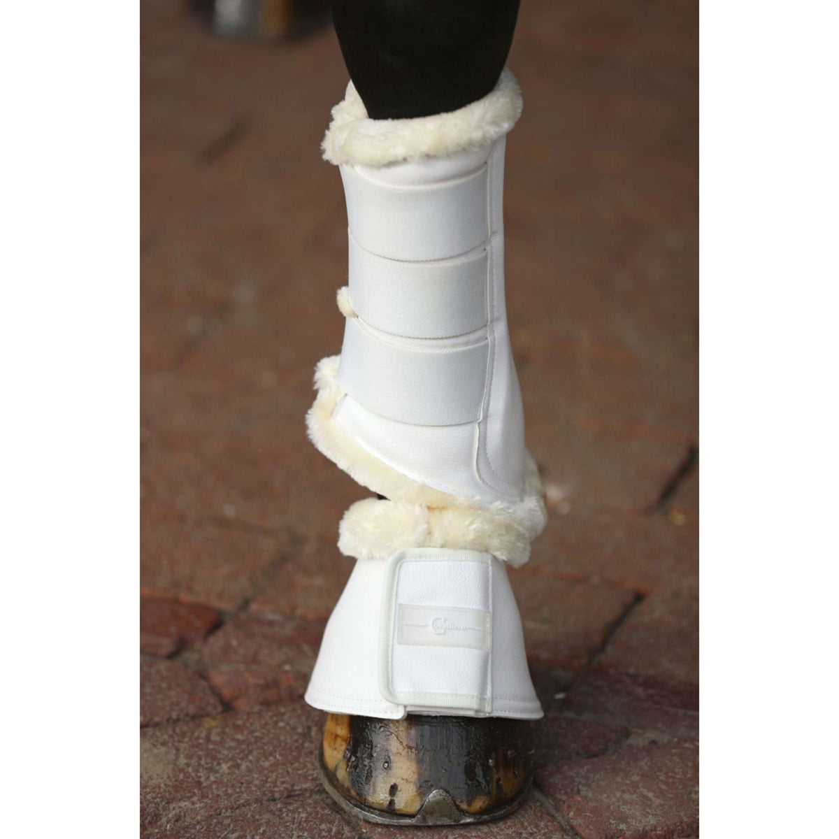 Covalliero Scarpe da ginnastica flessibili Pelisa Bianco