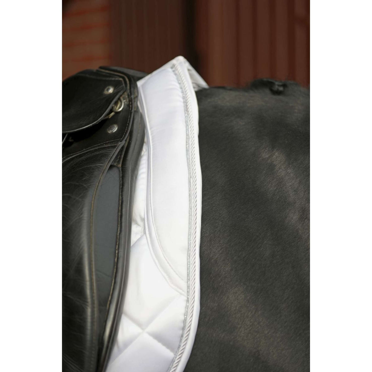 Covalliero Sottosella Empara Bianco