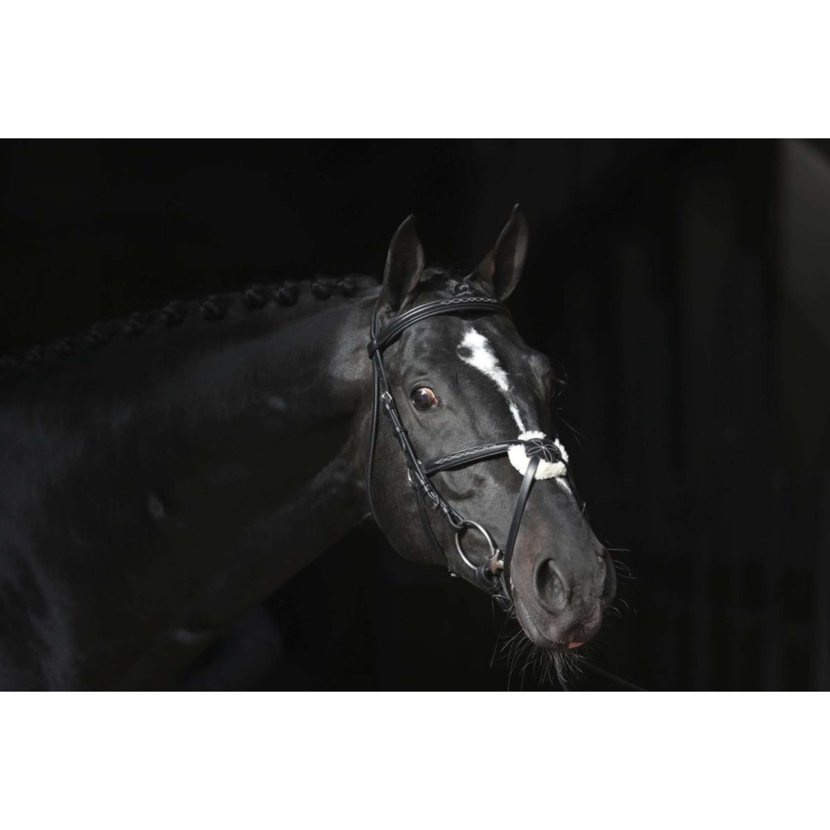 Kerbl Briglia Cancun Nero Kerbl Briglia Cancun Nero