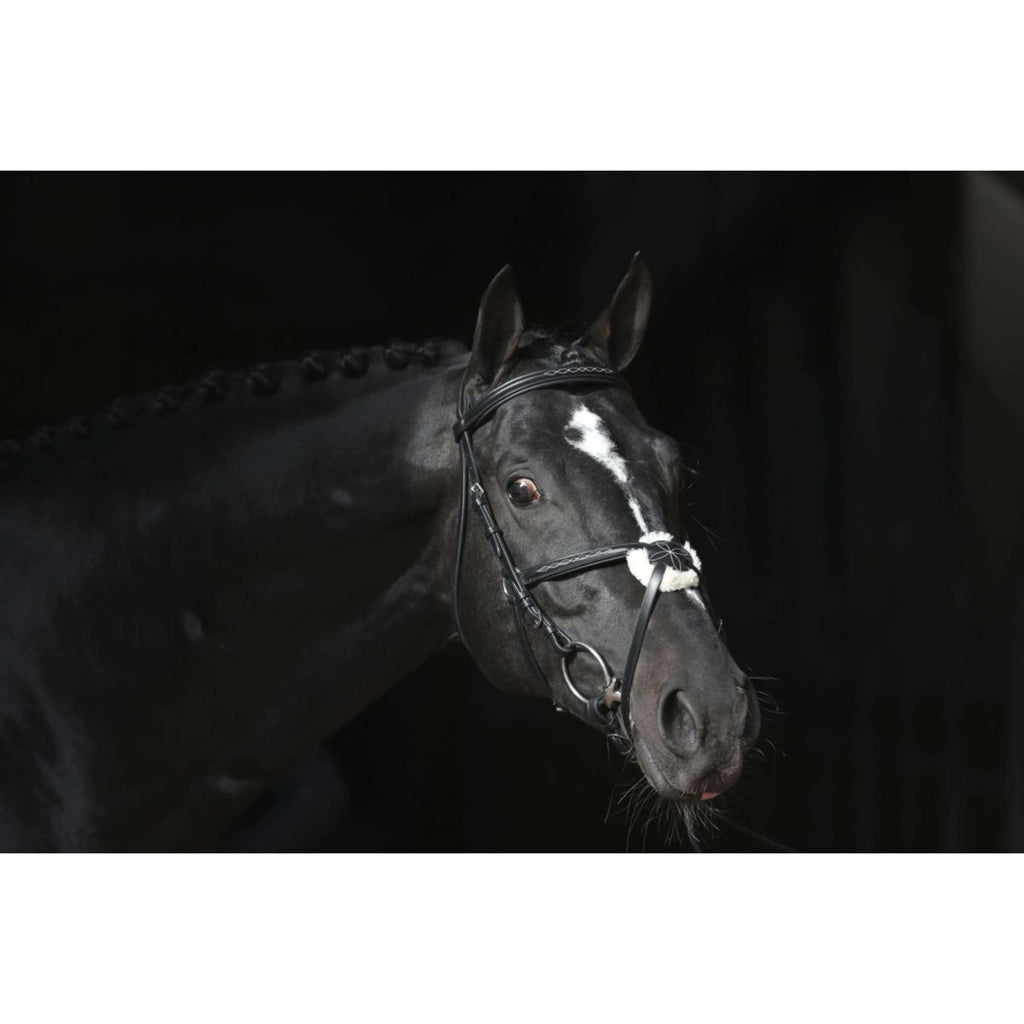 Kerbl Briglia Cancun Nero