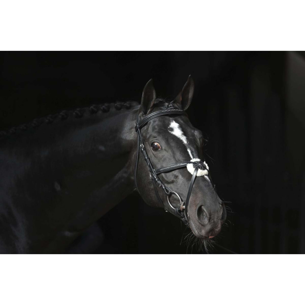 Kerbl Briglia Cancun Nero