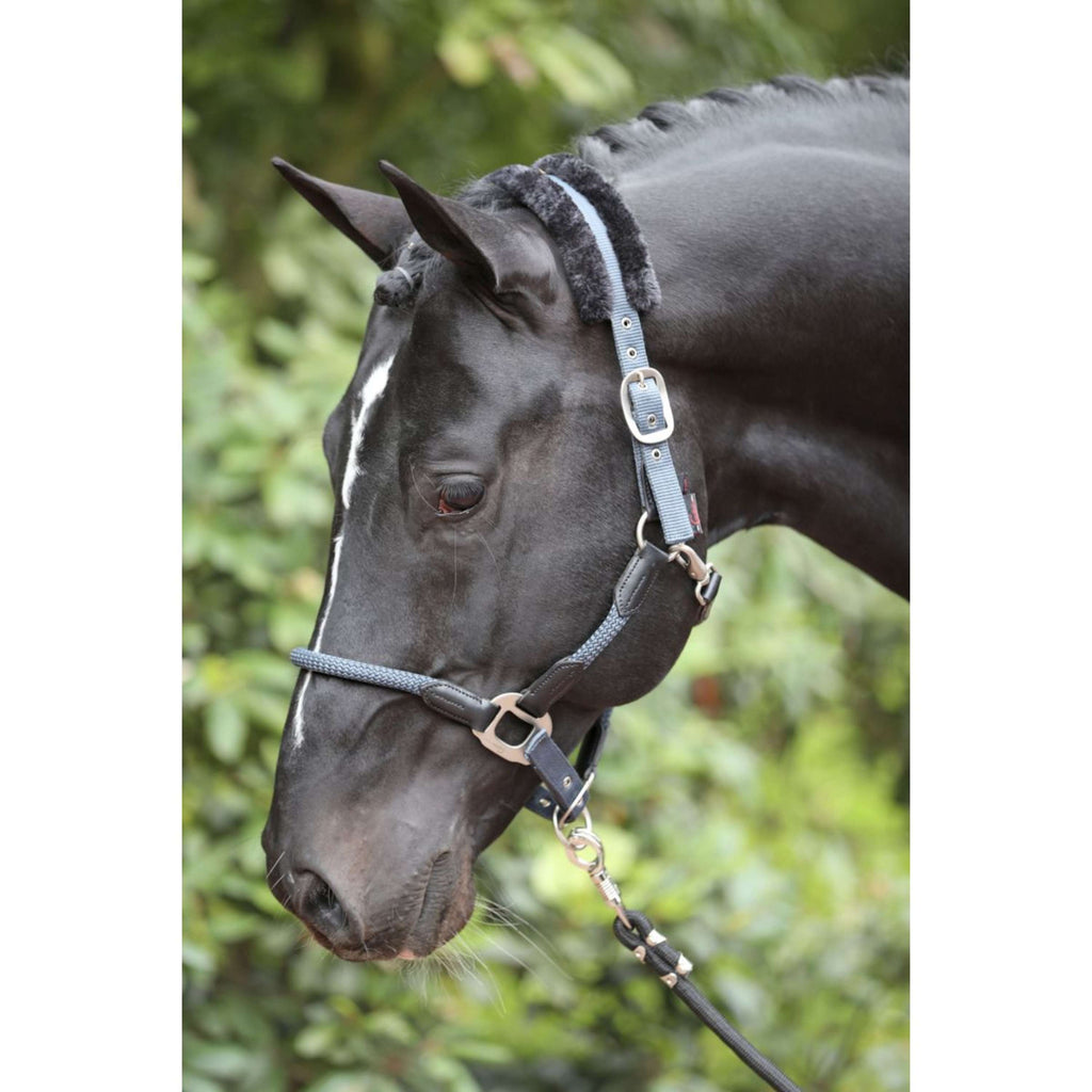 Kerbl Cavezza Cordano Blu