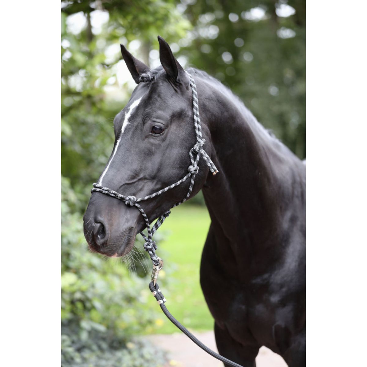 Kerbl Capestro in Corda Nero/Grigio
