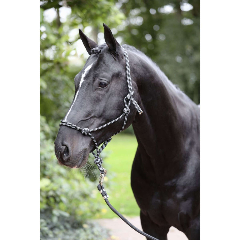 Kerbl Cavezza in Corda Nero/Grigio
