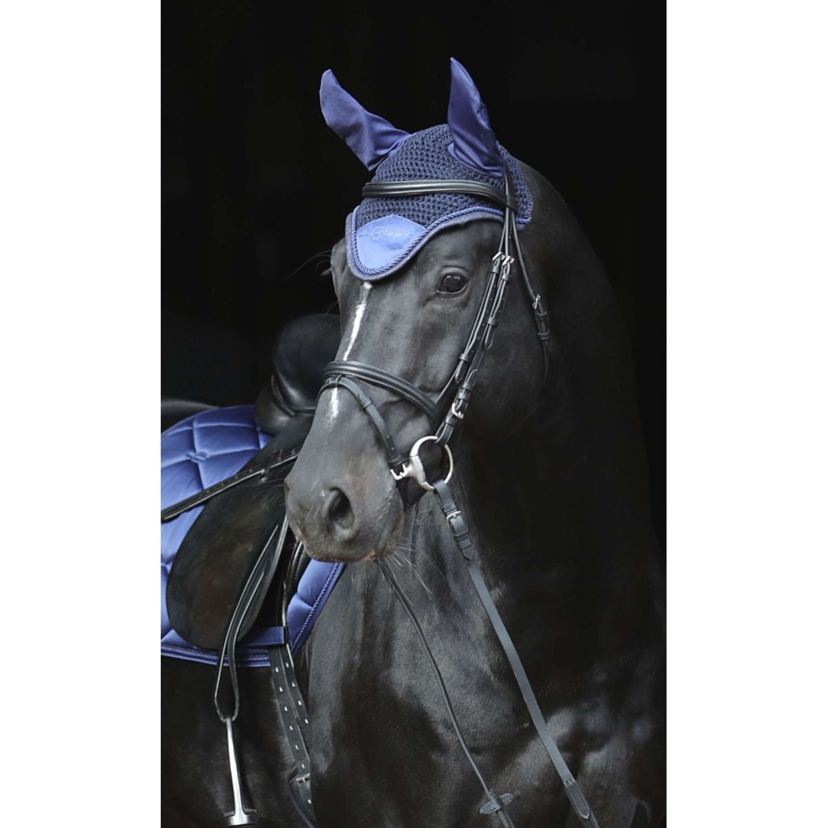 Covalliero Cuffietta Empara Navy