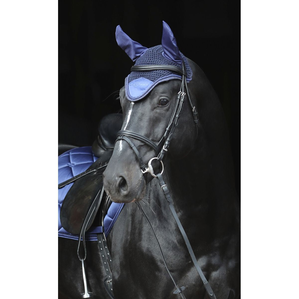 Covalliero Cuffietta Empara Navy