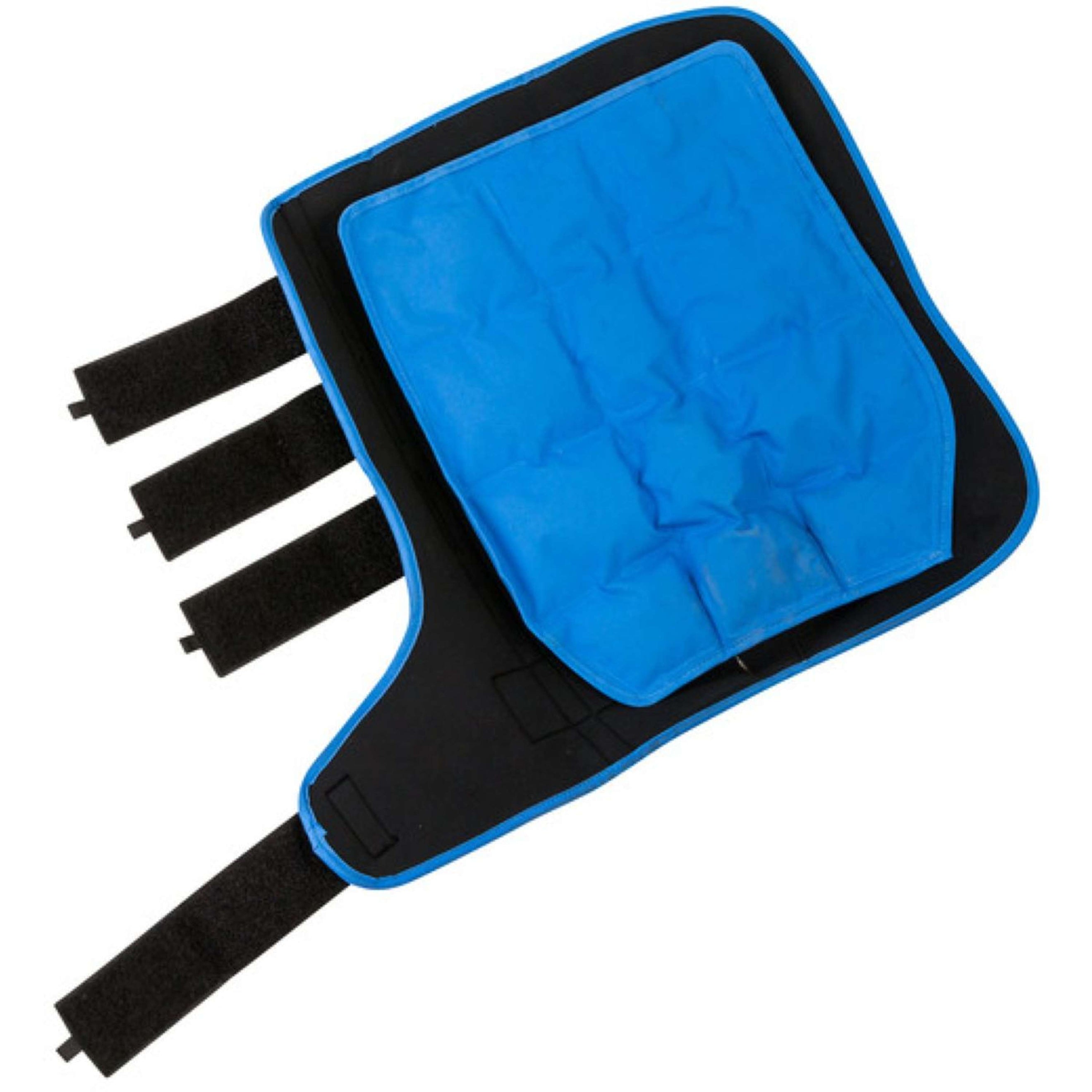 Lami-Cell Stivali da ghiaccio Nero/Blu Lami-Cell Stivali da ghiaccio Nero/Blu