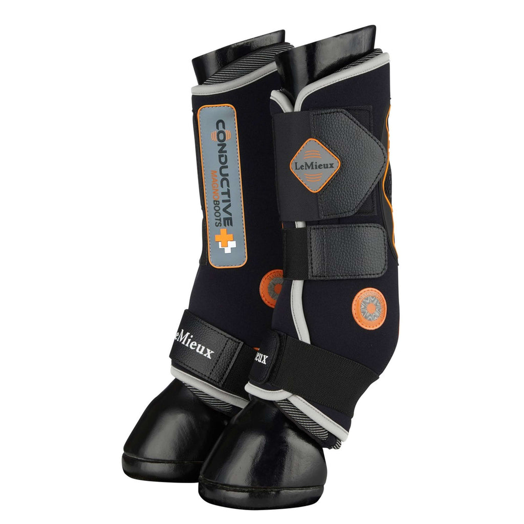 LeMieux Parastinchi Nero