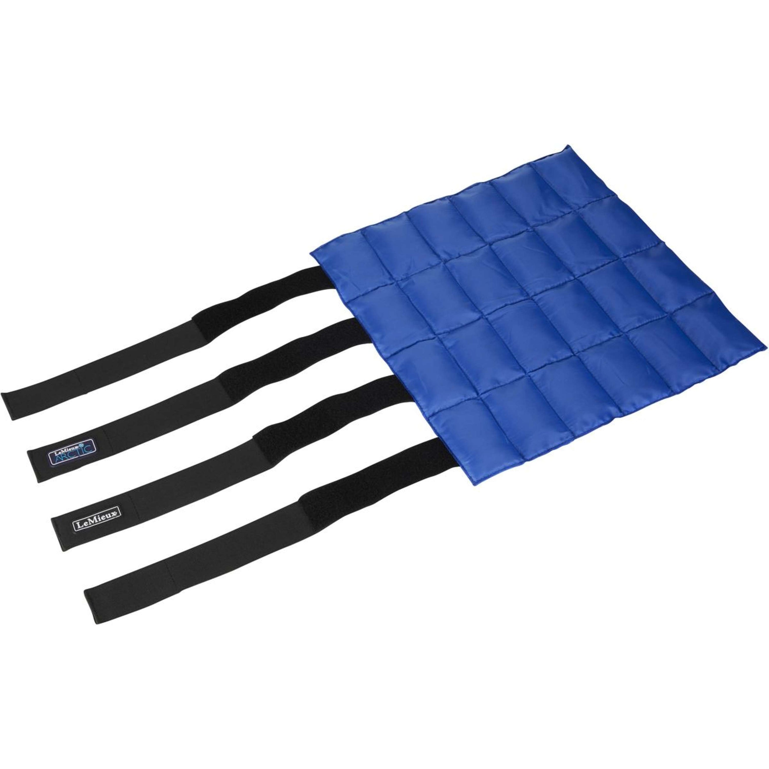 LeMieux Stivali da ghiaccio Arctic 1 Paar Nero