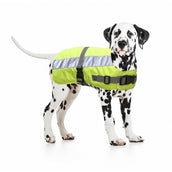Giacca per cani Duvo+ Flectalon Hi Vis Giallo