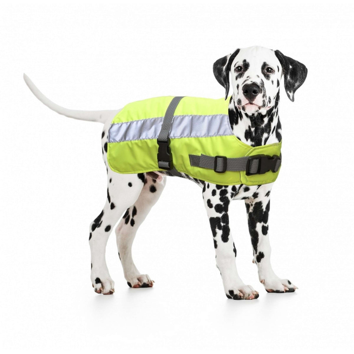 Giacca per cani Duvo+ Flectalon Hi Vis Giallo