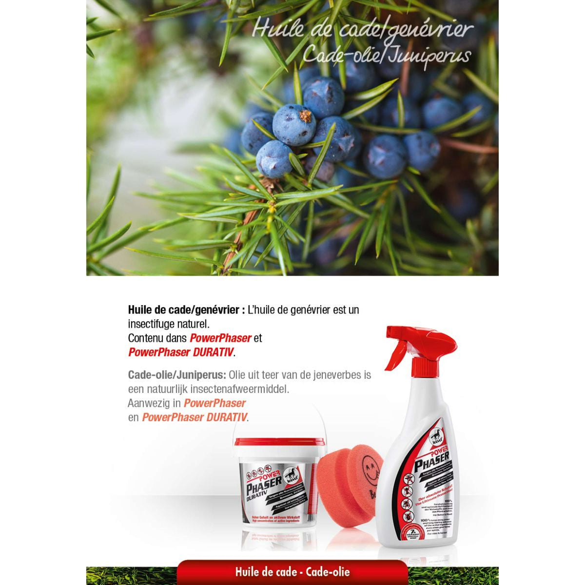 Leovet Faser di potenza