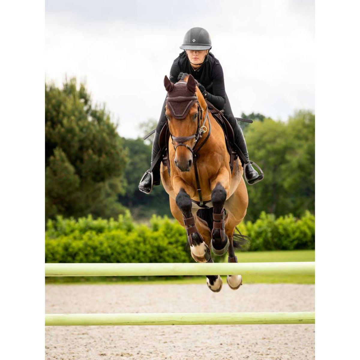 LeMieux Cuffietta Crystal Marrone