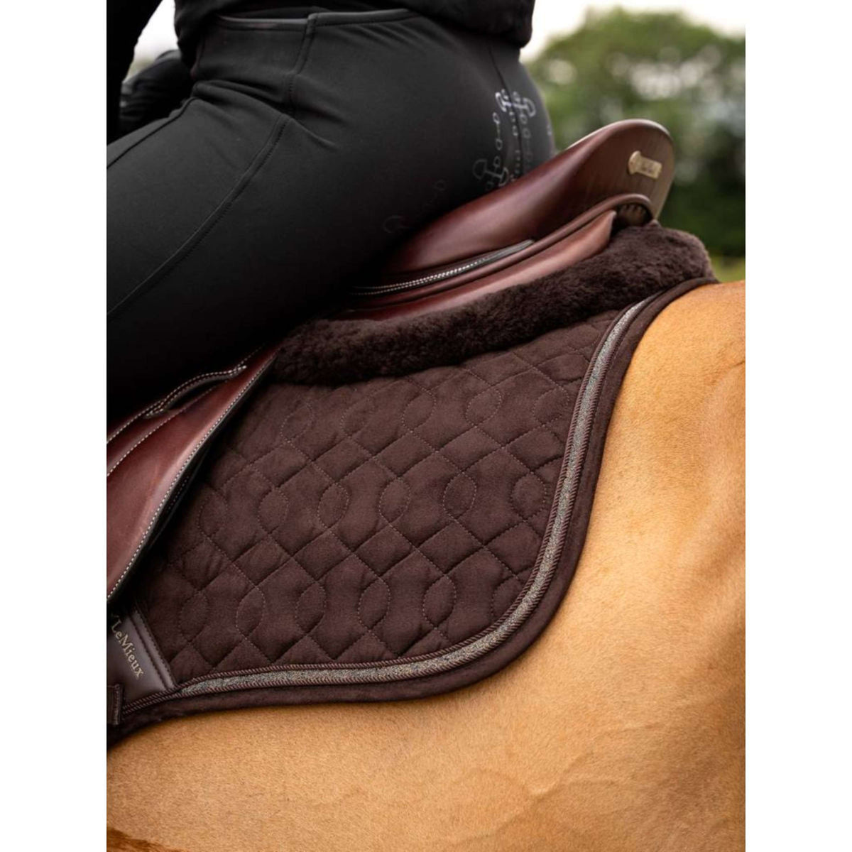 LeMieux Sottosella Crystal Suede Close Contact Marrone