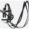 LeMieux Pony giocattolo Stang en Trenshoofdstel Nero