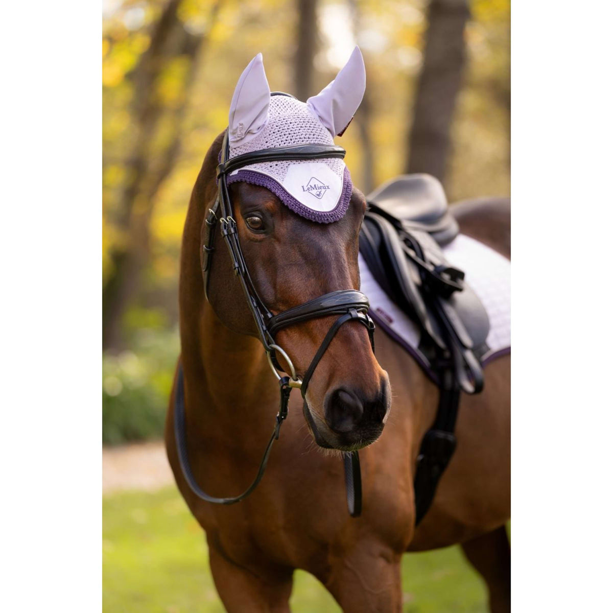 LeMieux Cuffietta Classic Lilla