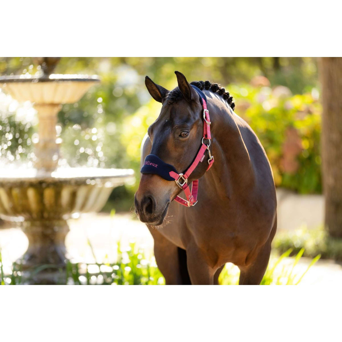 LeMieux Set Cavezza Vogue Cranberry