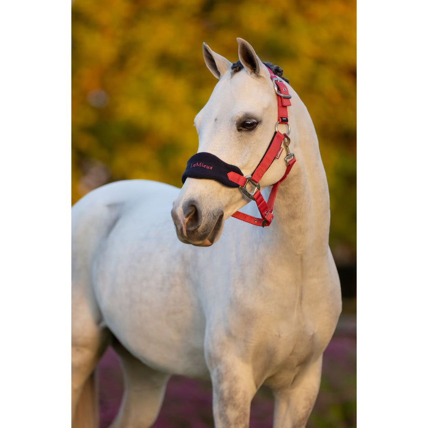 LeMieux Set Cavezza Mini Vogue Cranberry LeMieux Set Cavezza Mini Vogue Cranberry