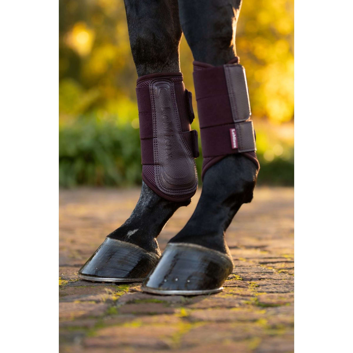 LeMieux Stinchiere Arika Mesh Damson