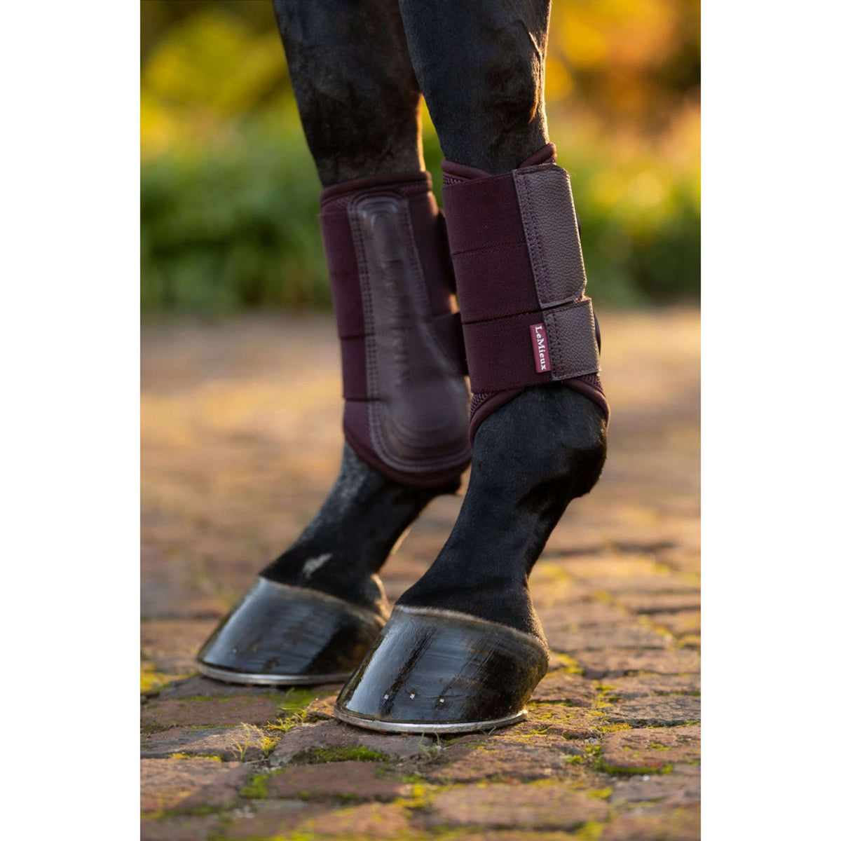 LeMieux Stinchiere Arika Mesh Damson