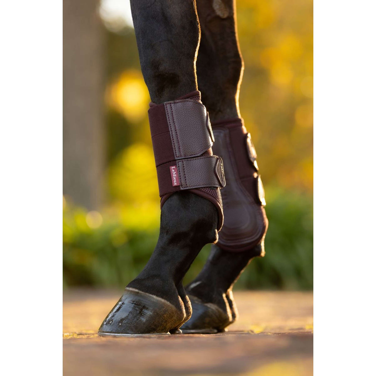 LeMieux Stinchiere Arika Mesh Damson
