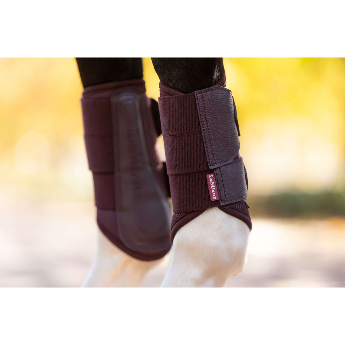 LeMieux Stinchiere Arika Mesh Damson