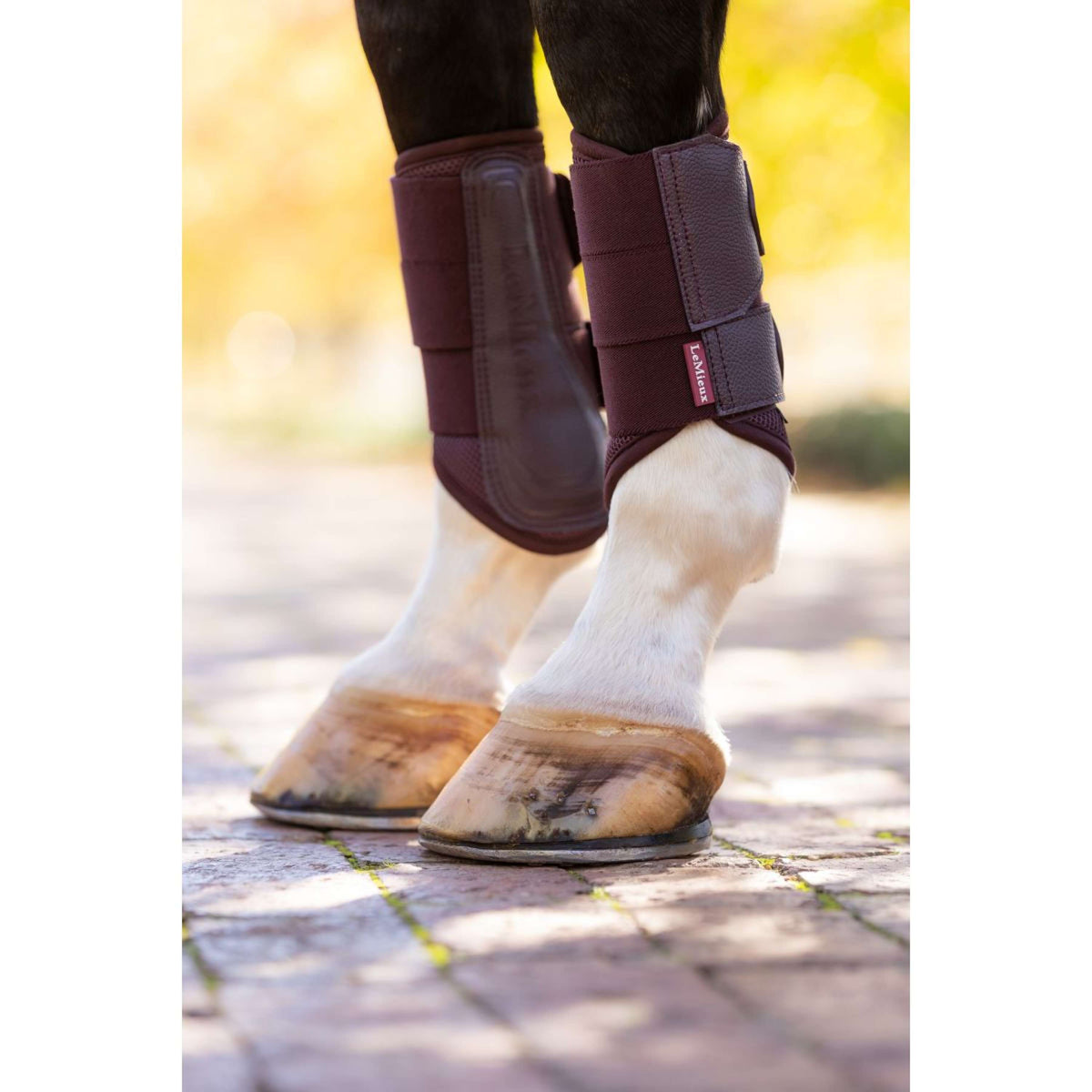 LeMieux Stinchiere Arika Mesh Damson