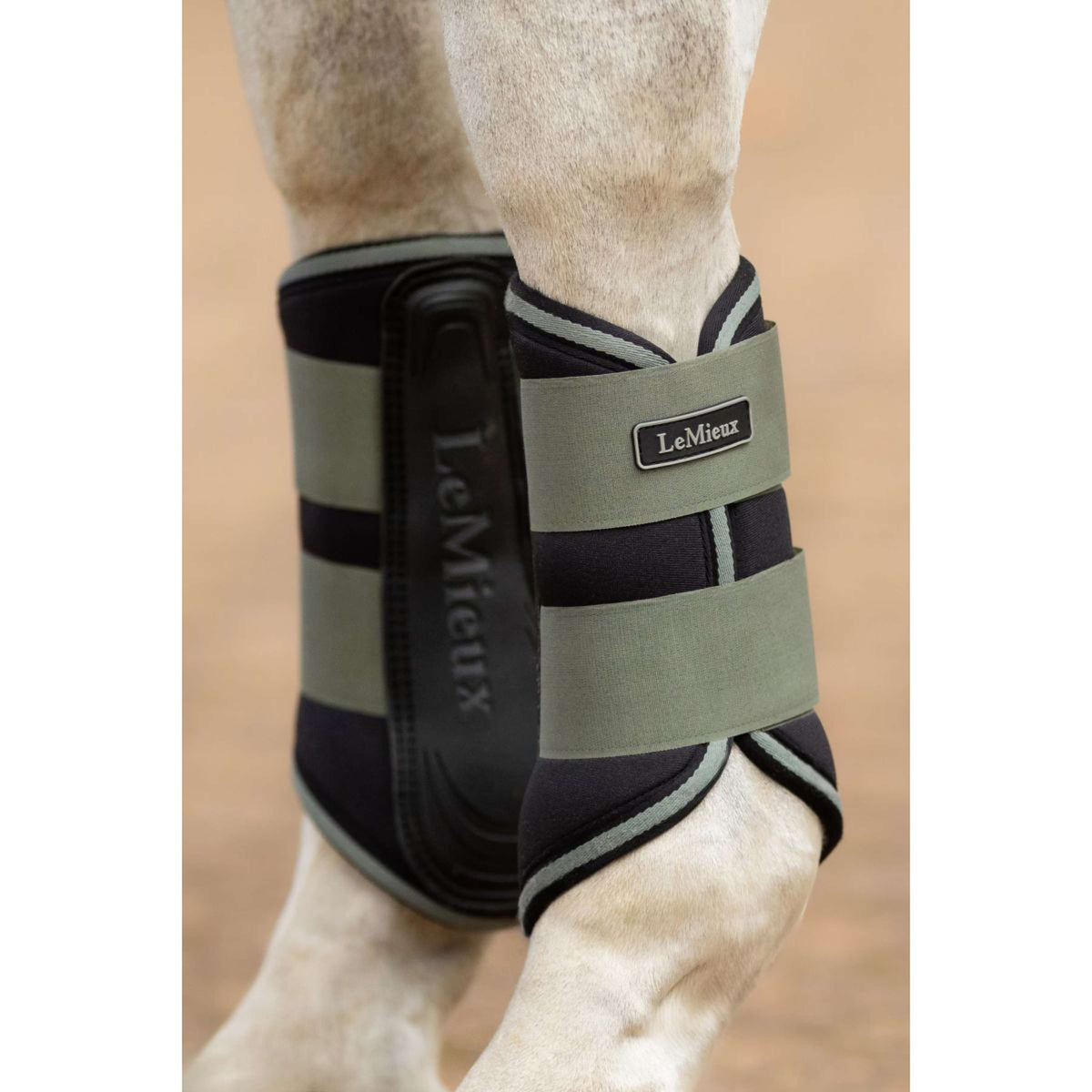 LeMieux Stinchiere Grafter Rosemary