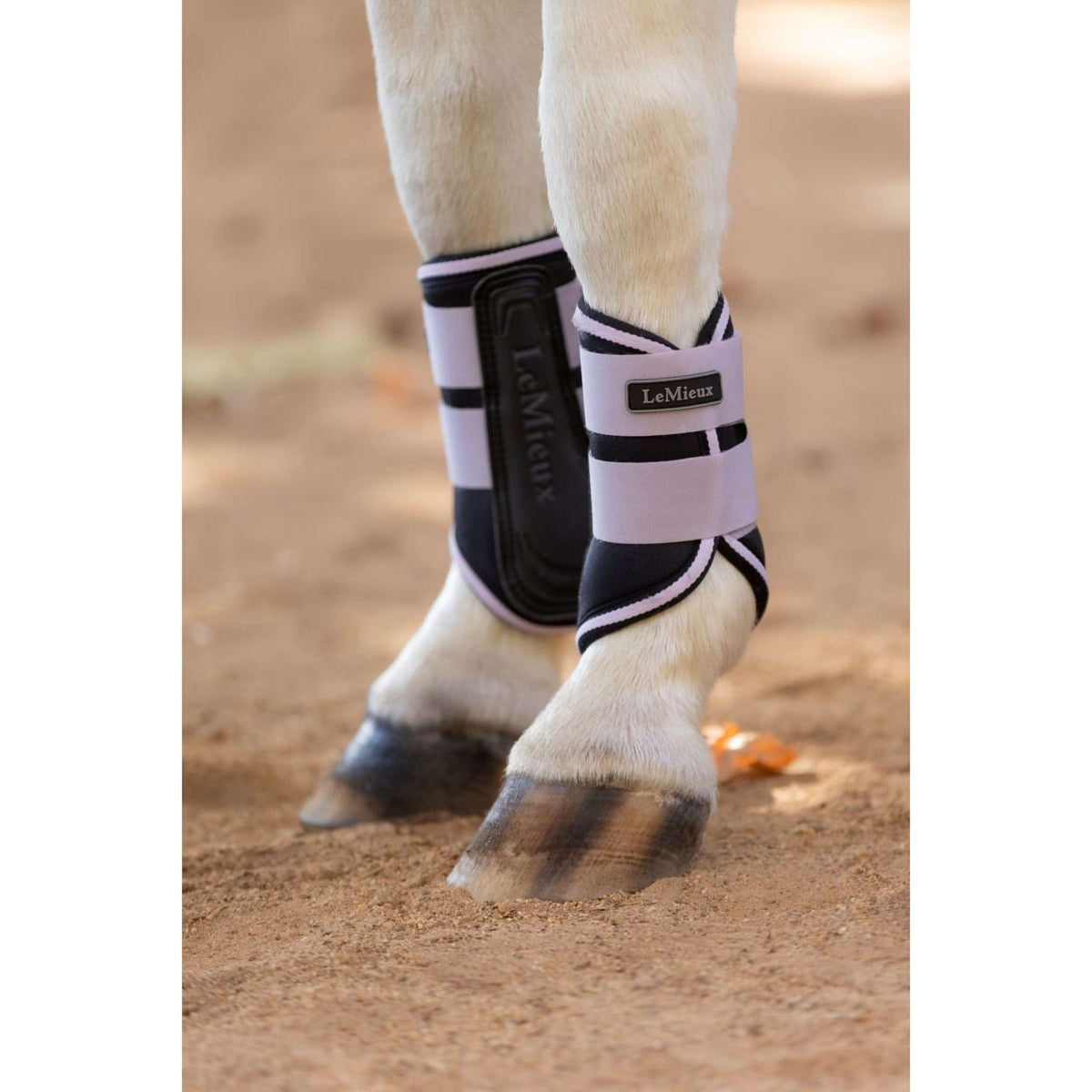 LeMieux Stinchiere Mini Grafter Lilla