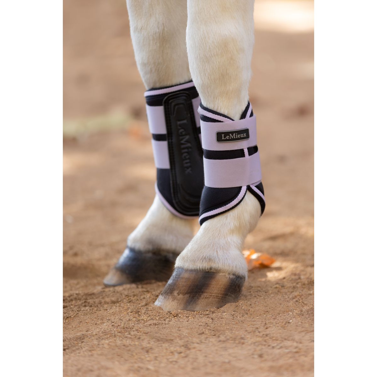 LeMieux Stinchiere Mini Grafter Lilla