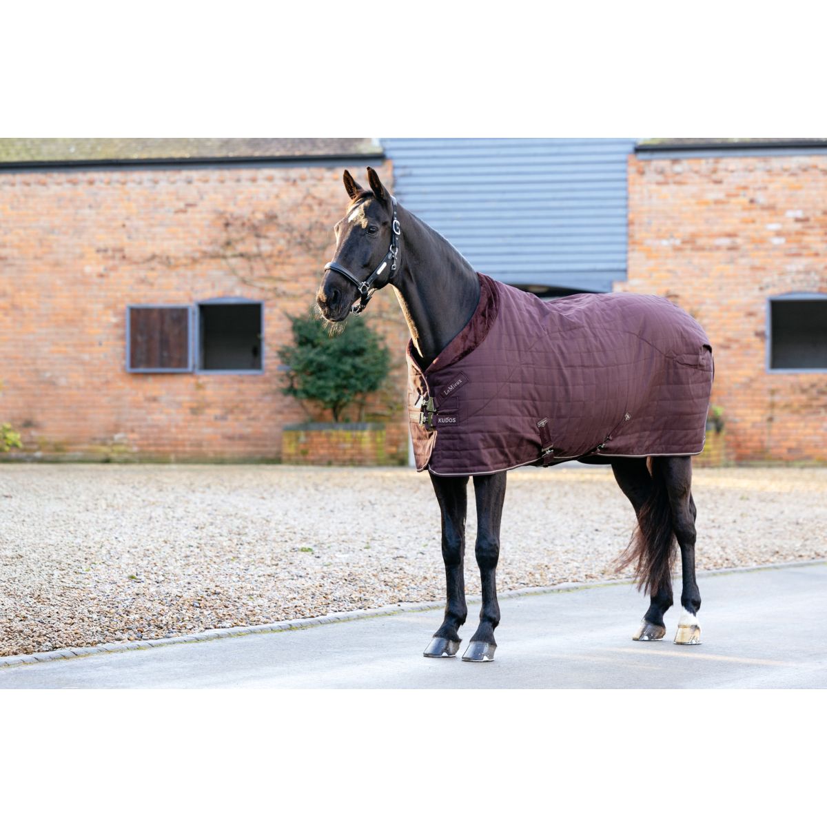 LeMieux Coperta da scuderia Kudos Luxe Lined Damson