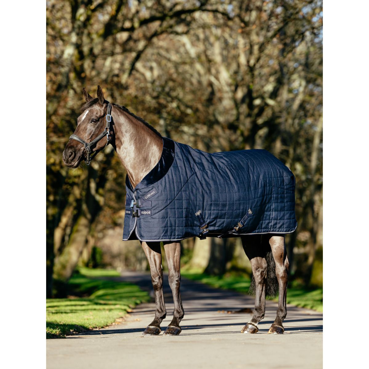 LeMieux Coperta da scuderia Kudos Luxe Lined Navy