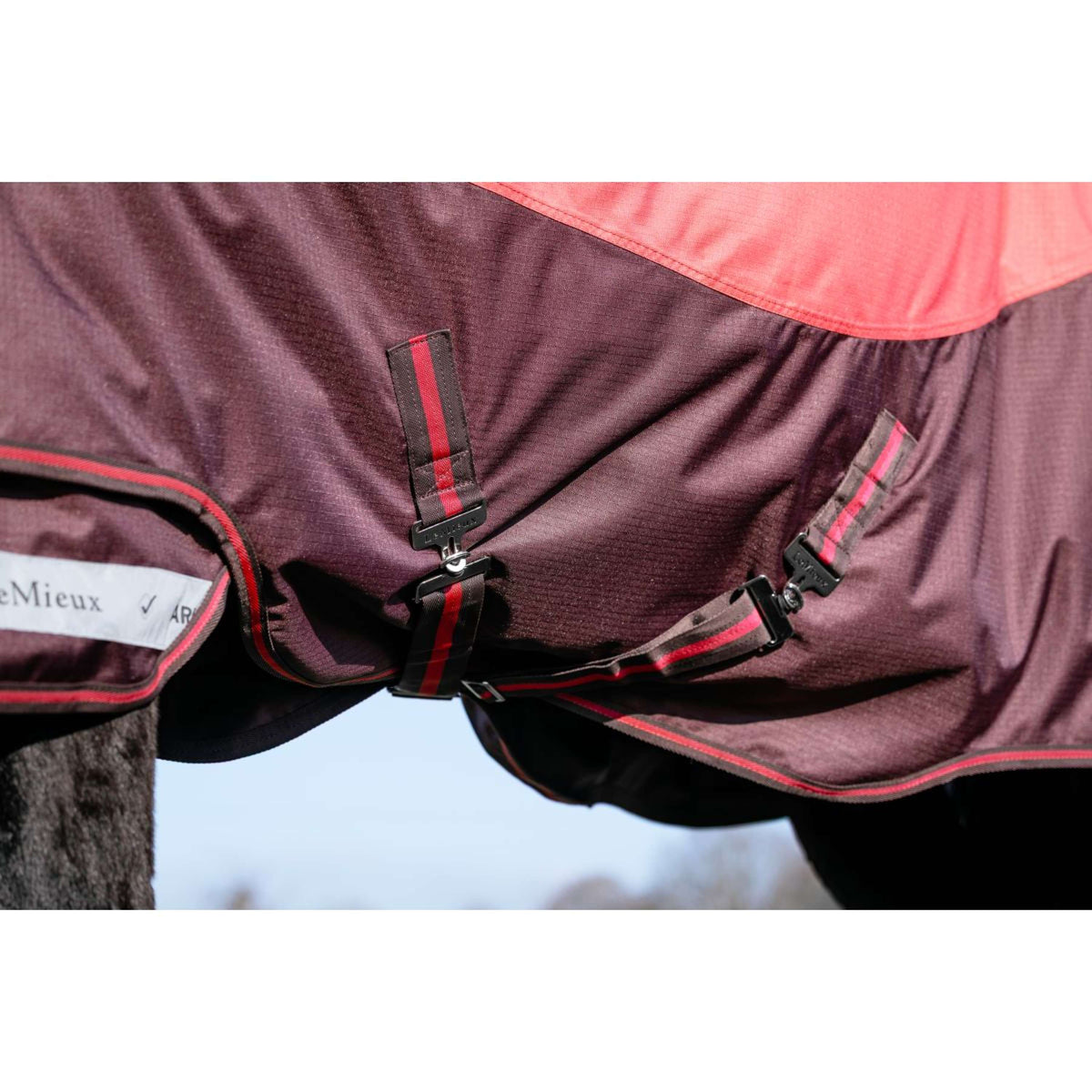 LeMieux Tappeto da Esterno Arika Ripstop 100g Cranberry
