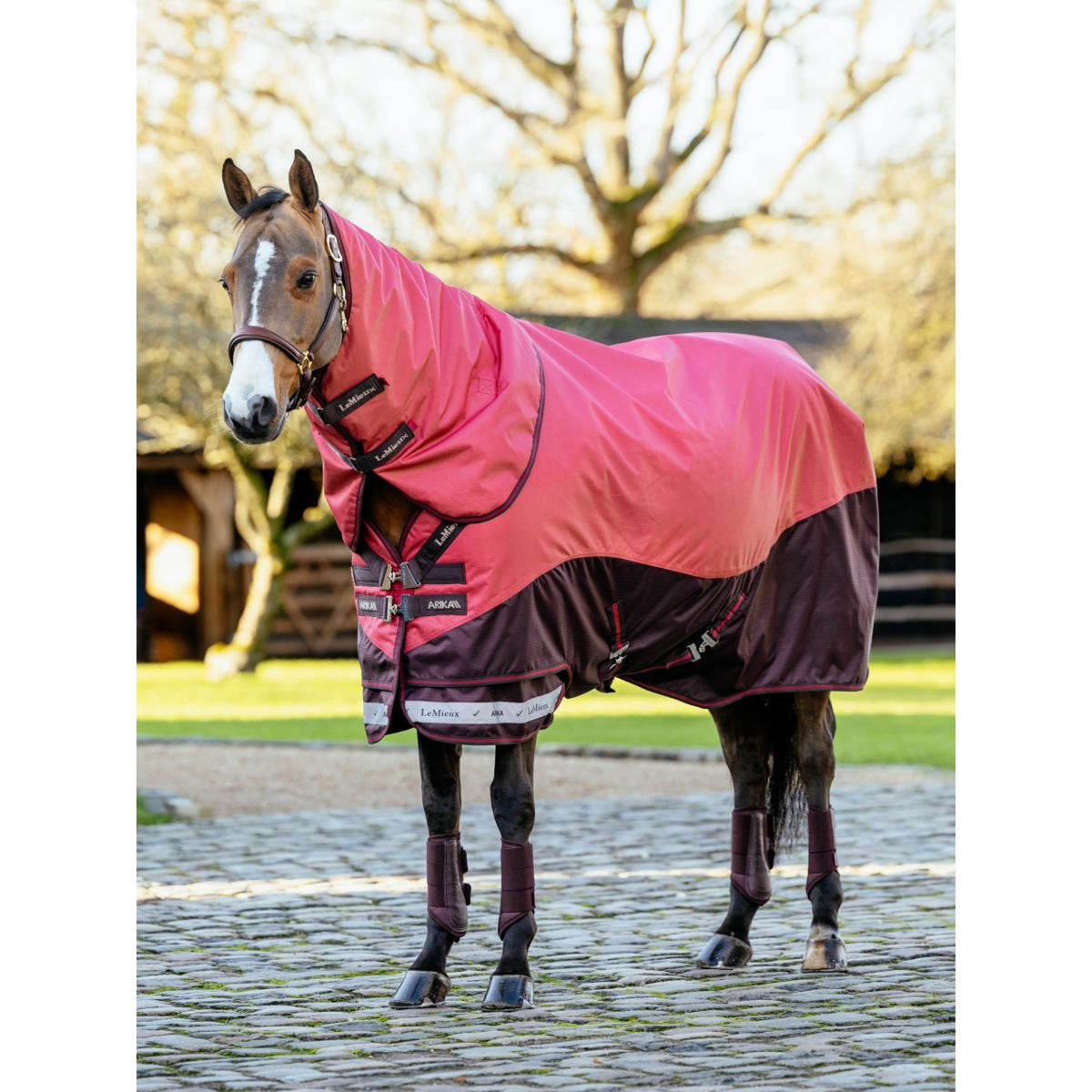 LeMieux Tappeto da Esterno Arika Ripstop 100g Cranberry