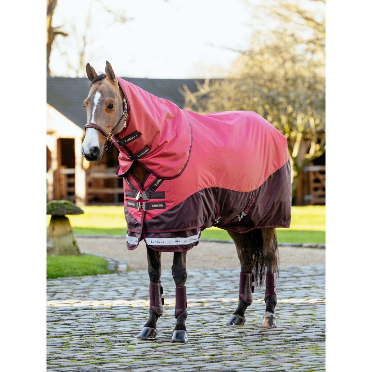 LeMieux Tappeto da Esterno Arika Ripstop 100g Cranberry